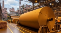 Demand for kraft paper is on the rise, with the festive season set to provide a significant boost: Insights by Deept Agarwal of Paswara Papers
