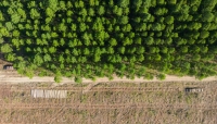 EUDR: New risk classification – What paper producers should know