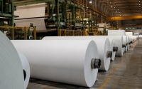 China Paper industry: Energy consumption restrictions for various types of paper implemented; significant decline in market prices for culture paper and white cardboard